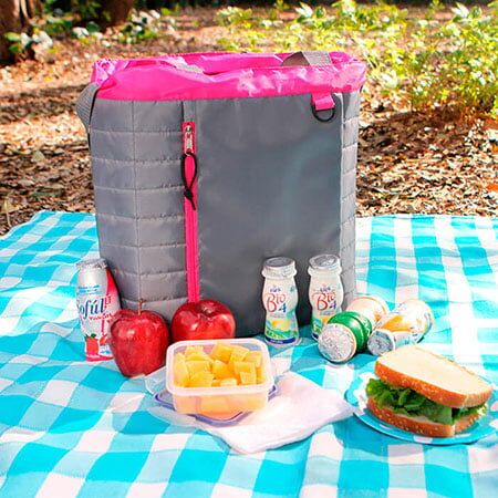 Hieleras mayoreo monterrey