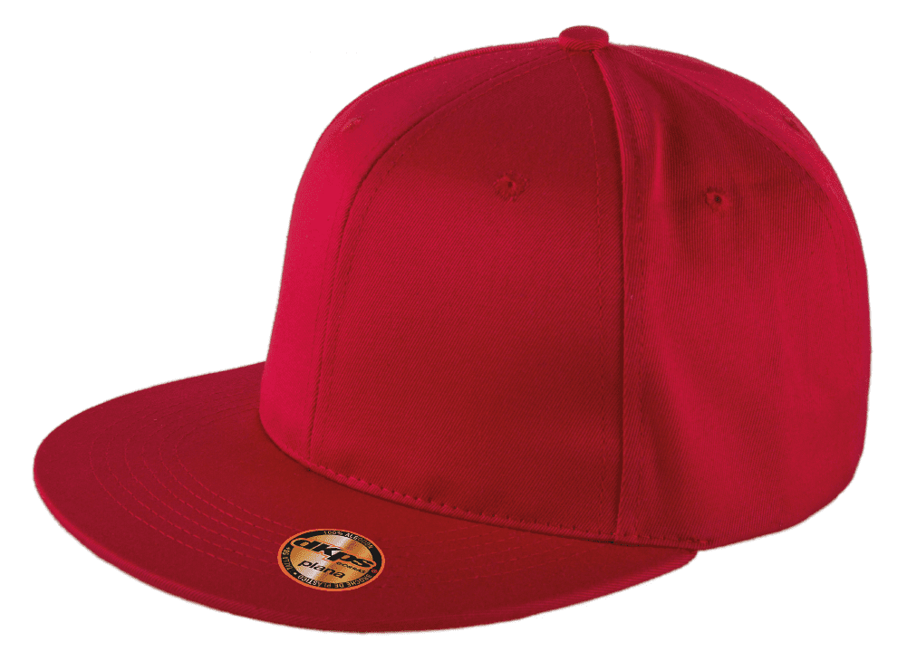 DKPS #270 GORRA PLANA Mod. 12-D000270-108-UN