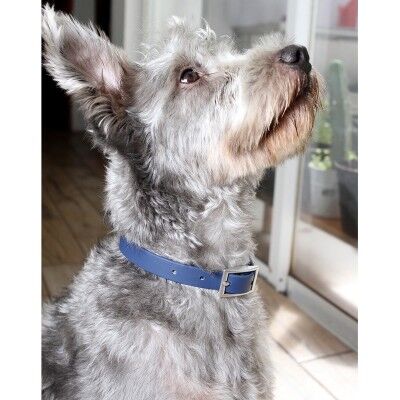 Collar Narbona. 10-PT-002